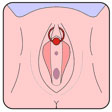 piercing-clitoris-F-B02