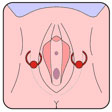 piercing-clitoris-F-B05